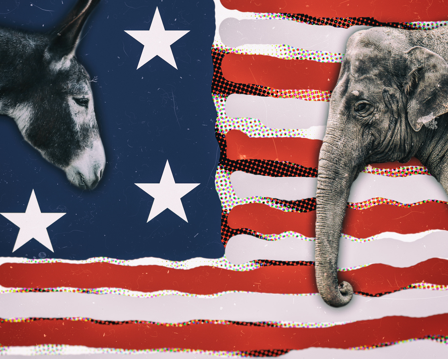 Donkey and elephant with an American flag in the background